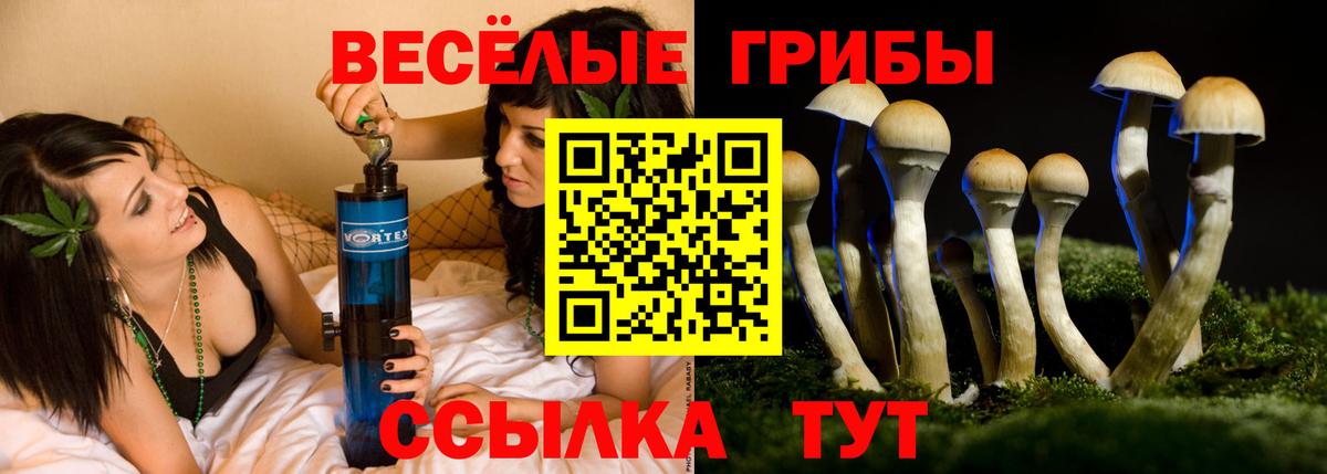 даркнет сайт  Вход с VPN  Сарапул  Галлюциногенные грибы мухоморы 